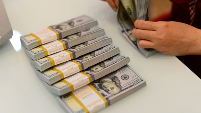 Tiền đồng bớt mất giá trước USD, 'đại gia' nào sẽ bớt đau đầu vì lỗ tỉ giá?