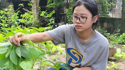 Nữ sinh nghèo nhất khu phố muốn học đại học thay đổi số phận