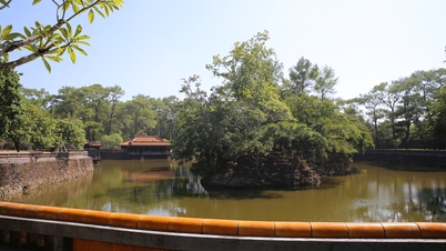 Amri 16 - វៀតណាម 2023 - អាល់ប៊ុម ០៦