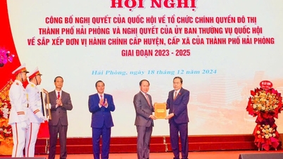 Hai Phong strives to become a modern, leading city.
