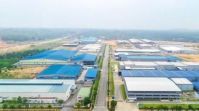 Đầu tư xây dựng và kinh doanh kết cấu hạ tầng KCN Trấn Yên (Yên Bái)