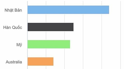 Vietnamese people study abroad the most in Southeast Asia