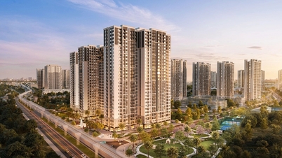 Tầm nhìn khoáng đạt tạo giá trị cho căn hộ The King - Vinhomes Ocean Park