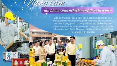 Vinh Phuc: Enhancing typical rural industrial products