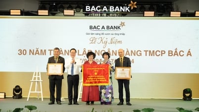 BAC ធនាគារភាគហ៊ុនរួមពាណិជ្ជកម្ម - 30 ឆ្នាំនៃការរក្សាបេះដូងភ្លឺ, ស្ថិរភាពឈានដល់កម្រិត