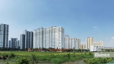 ホーチミン市の新しい土地価格表は不動産業界にどのような影響を与えるのでしょうか?