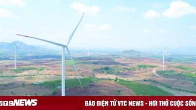 ស្នើ​ឲ្យ​បញ្ឈប់​ការ​សាកល្បង​គម្រោង​ថាមពល​ខ្យល់​ដែល​ដំណើរការ​ដោយ​សេរី បើទោះជា​ប្រជាពលរដ្ឋ​មានការ​តវ៉ា​ក៏ដោយ​