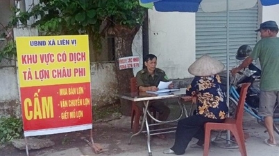 Thêm một xã xuất hiện ổ dịch bệnh tả lợn châu Phi