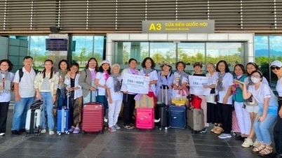 250 người dự "Diễn đàn bệnh nhân ung thư Việt Nam" 2023