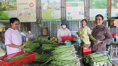 Ninh Phước: Nâng cao hiệu quả hoạt động hợp tác xã