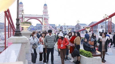 Cộng đồng Hàn Quốc muốn “đi về phía mặt trời” để an cư, lập nghiệp