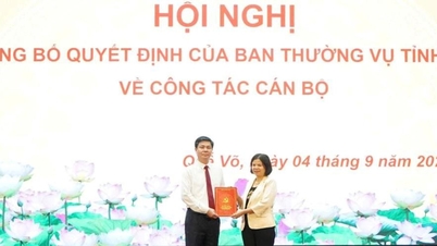 מר פאם טאנה האי מכהן בתפקיד מזכיר ועדת המפלגה של העיר קוה וו.