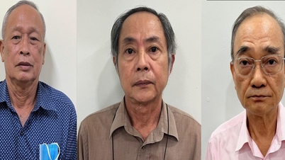 កាត់​ទោស​បុគ្គល​៣​នាក់​នៅ​វី​ណា​ហ្វូត​២​ពី​បទ​លក់​ដី​ឱ្យ​ឯកជន​