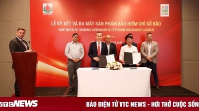 Ra mắt sản phẩm bảo hiểm Chỉ số bão phục vụ người nông dân