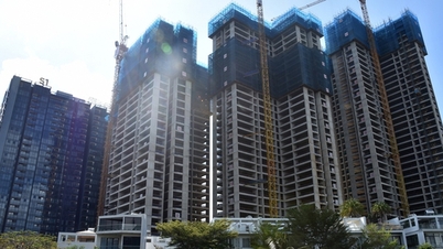 Land Law will create incentives to attract investment
