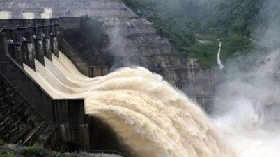 Operation of Dak Mi 4, Song Bung 2, Song Bung 4, A Vuong and Song Tranh 2 hydropower reservoirs