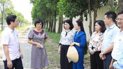 Huyện Đông Anh thực hiện thu hồi, chuyển mục đích đất trồng lúa đạt trên 70%