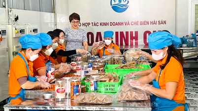 បង្គារបស់ Hoa Linh Chi Cooperative នៅ Ha Tinh ជាផលិតផល OCOP លំដាប់ផ្កាយ 4 គ្រាន់តែមើលក៏ដឹងថាមានរសជាតិឆ្ងាញ់។