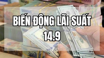 ស៊េរីធនាគារ 8 បង្កើនអត្រាការប្រាក់