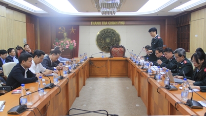 Announcing the Inspection Conclusion at the Ministry of Education and Training, Ministry of Health and People's Committee of Da Nang City