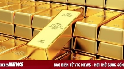 Giá vàng hôm nay 24/11: Trong nước và thế giới tiếp tục tăng