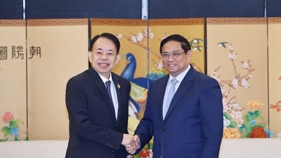 ADB នឹងផ្តល់ដើមទុនសម្រាប់ការផ្លាស់ប្តូរថាមពលរបស់វៀតណាម ការផ្លាស់ប្តូរបៃតង