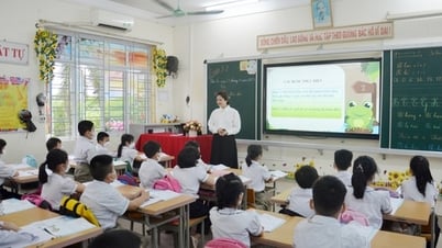 Quang Ninh lacks nearly 2,000 teachers at all levels