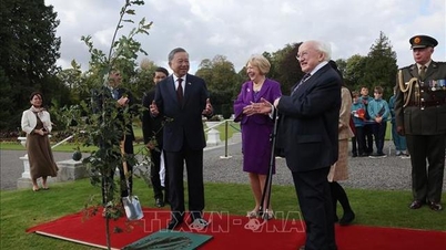 El Secretario General y Presidente planta un árbol de recuerdos en el Palacio Presidencial de Irlanda