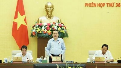 បើកសម័យប្រជុំលើកទី៣៦ នៃគណៈកម្មាធិការអចិន្ត្រៃយ៍រដ្ឋសភា