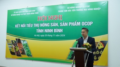 Sàn TMĐT nongsan.buudien.vn tham dự Hội nghị kết nối tiêu thụ nông sản, sản phẩm OCOP tỉnh Ninh Bình