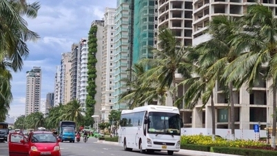 Can Tho wants to have an airport city, what to do to avoid tasting 'bitter fruit', when will home loan interest rates decrease?