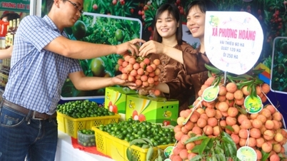 មេរៀនទី៣៖ ការផ្សព្វផ្សាយពាណិជ្ជកម្ម បង្កើត "ស្ពាន" ដល់ការប្រើប្រាស់
