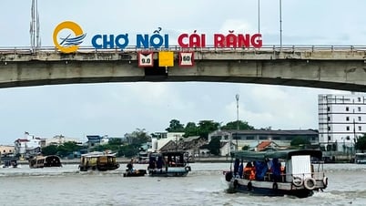 ទិវាវប្បធម៌វៀតណាម