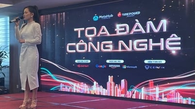 MetaHub Finance គឺជាគំរូទីផ្សារពហុកម្រិត ដែលសង្ស័យថាមានការក្លែងបន្លំ និងខុសច្បាប់