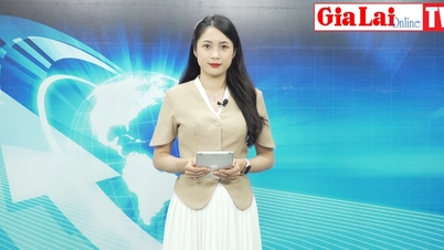 https://baogialai.com.vn/gia-lai-24h-trung-dau-gia-quyen-su-dung-dat-nhung-khong-duoc-chinh-ly-sang-ten-post241571.html