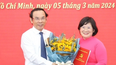Mobilizing and appointing key officials in 3 southern provinces and cities