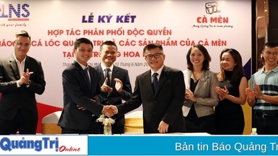 Startup đưa cháo bột cá lóc Quảng Trị đi Mỹ