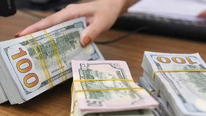 2024년 11월 8일 외환 가격: 연준이 금리를 조정한 후 USD가 하락