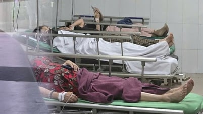 Decenas de trabajadores hospitalizados tras el almuerzo en Nghe An