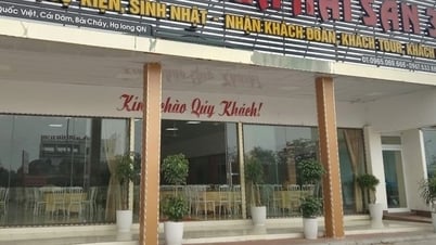ភ្ញៀវ​ទេសចរ​ត្អូញត្អែរ​អំពី​អាហារ​សមុទ្រ​ដែល​មាន​តម្លៃ​លើស​កំណត់​នៅ Ha Long