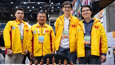 Truyền thông thế giới ‘sốc’ với thành tích của cờ vua Việt Nam ở Olympiad 2024