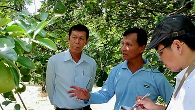 អតីត​តំបន់​សង្គ្រាម​ប្រែ​ទៅ​ជា​ផលិតកម្ម​សរីរាង្គ