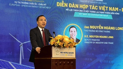 វៀតណាម និង EU មានលក្ខខណ្ឌជាច្រើនសម្រាប់កិច្ចសហប្រតិបត្តិការសេដ្ឋកិច្ច និងពាណិជ្ជកម្មរឹងមាំ។