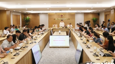 Xác định những vi phạm của TikTok là có cơ sở