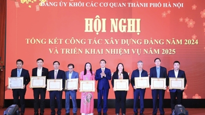 The Party Committee of Economic and Urban Newspaper received a Certificate of Merit from the Standing Committee of the City Party Committee.