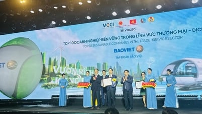 Bao Viet ផ្តល់កិត្តិយសក្នុងសហគ្រាសនិរន្តរភាពកំពូលទាំង 10 នៅវៀតណាម