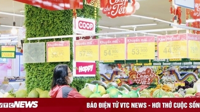 Saigon Co.op ចុះកិច្ចព្រមព្រៀងដើម្បីកសាងខ្សែសង្វាក់ផ្គត់ផ្គង់ប្រកបដោយនិរន្តរភាព