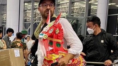 Hãng hàng không lên tiếng về lý do ngựa vàng mã bị bỏ lại ở Nội Bài