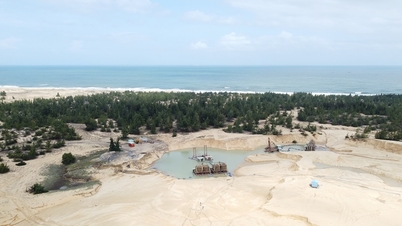 Binh Dinh ទើប​បាន​ដក​ហូត 0.01% នៃ​រដ្ឋធានី​រដ្ឋ​នៅ​ក្រុមហ៊ុន Binh Dinh Minerals Joint Stock Company។