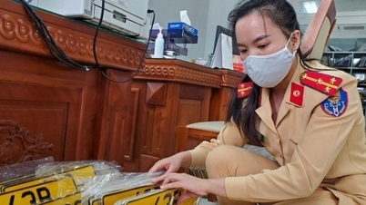 តើត្រូវចំណាយពេលប៉ុន្មានក្នុងការចេញវិញ្ញាបនបត្រចុះបញ្ជីយានយន្ត និងដកហូតស្លាកលេខ?